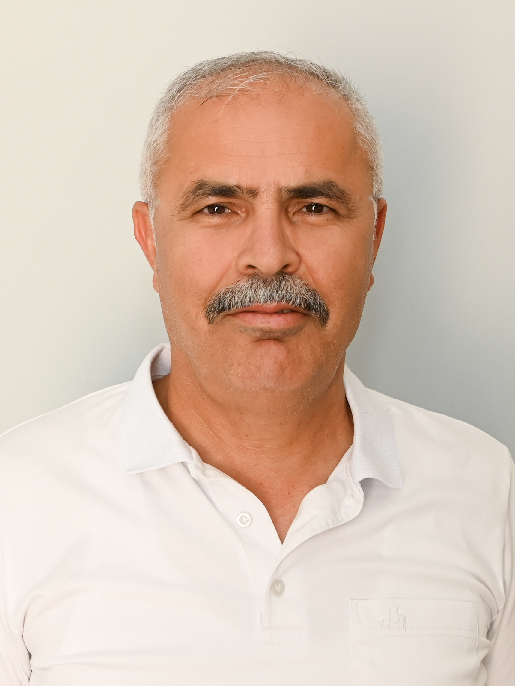Mehmet TOK